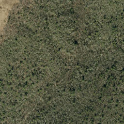 Satellite imagery of Brushy Ridge, US