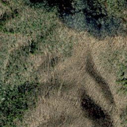 Satellite imagery of Golden Ridge, US