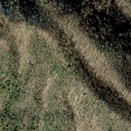 Satellite imagery of Golden Ridge, US