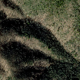 Satellite imagery of Golden Ridge, US