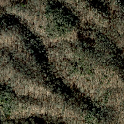 Satellite imagery of Rod Ridge, US