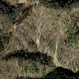 Satellite imagery of Rod Ridge, US