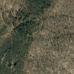 Satellite imagery of Bee Ridge, US