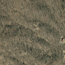 Satellite imagery of Bee Ridge, US