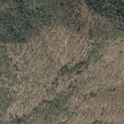 Satellite imagery of Mill Ridge, US