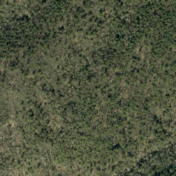 Satellite imagery of Long Arm Ridge, US