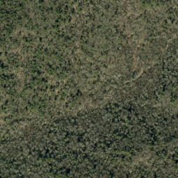 Satellite imagery of Brushy Ridge, US