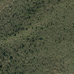 Satellite imagery of Brushy Ridge, US