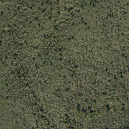Satellite imagery of Brushy Ridge, US