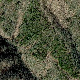 Satellite imagery of Golden Ridge, US