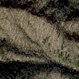 Satellite imagery of Grassy Ridge, US