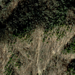 Satellite imagery of Rod Ridge, US