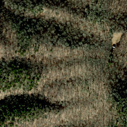 Satellite imagery of Rod Ridge, US