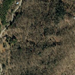 Satellite imagery of Locust Rough Ridge, US