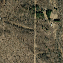 Satellite imagery of Locust Rough Ridge, US