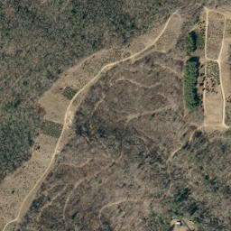Satellite imagery of Buck Ridge, US