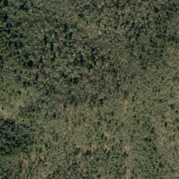 Satellite imagery of Brushy Ridge, US