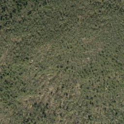 Satellite imagery of Brushy Ridge, US