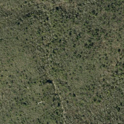 Satellite imagery of Jonas Ridge, US