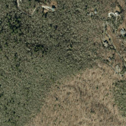 Satellite imagery of Jonas Ridge, US