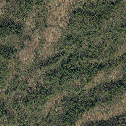 Satellite imagery of Ripshin Ridge, US