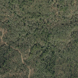 Satellite imagery of Ripshin Ridge, US