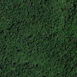 Satellite imagery of Buzzard Bluff, US