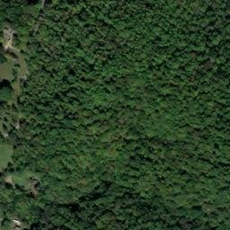 Satellite imagery of Buzzard Bluff, US