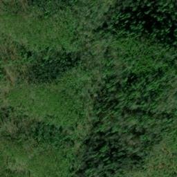 Satellite imagery of High Ridge, US