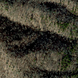 Satellite imagery of Grassy Ridge, US