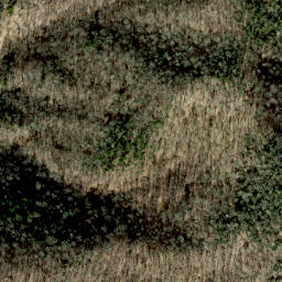 Satellite imagery of Rod Ridge, US