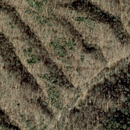 Satellite imagery of Shinbone Ridge, US