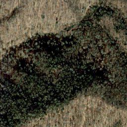 Satellite imagery of Shinbone Ridge, US