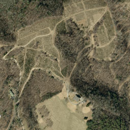 Satellite imagery of Buck Ridge, US