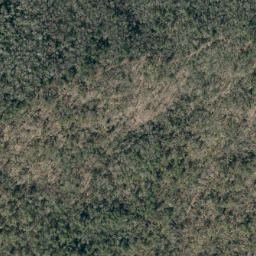 Satellite imagery of Dividing Ridge, US