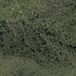 Satellite imagery of Jonas Ridge, US