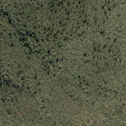 Satellite imagery of Jonas Ridge, US