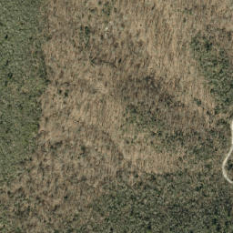 Satellite imagery of Jonas Ridge, US