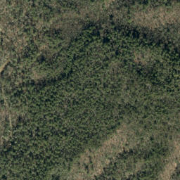 Satellite imagery of Ripshin Ridge, US