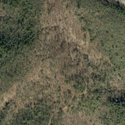 Satellite imagery of Ripshin Ridge, US