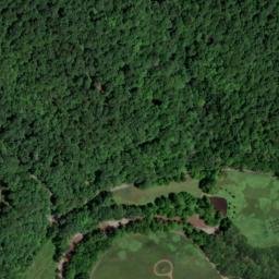 Satellite imagery of Buzzard Bluff, US