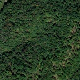Satellite imagery of Buzzard Bluff, US