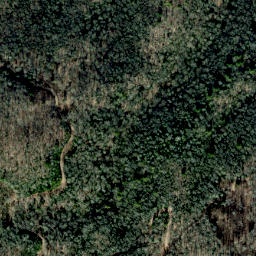 Satellite imagery of Scraggy Ridge, US