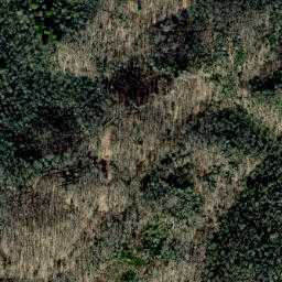 Satellite imagery of Scraggy Ridge, US