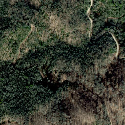 Satellite imagery of Scraggy Ridge, US