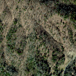 Satellite imagery of Grassy Ridge, US