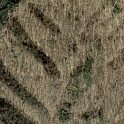 Satellite imagery of Shinbone Ridge, US