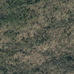 Satellite imagery of Askew Ridge, US
