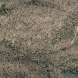 Satellite imagery of Askew Ridge, US