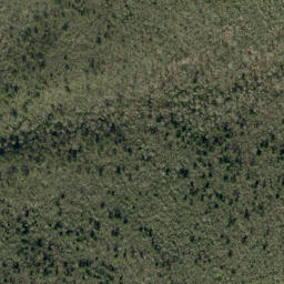 Satellite imagery of Jonas Ridge, US